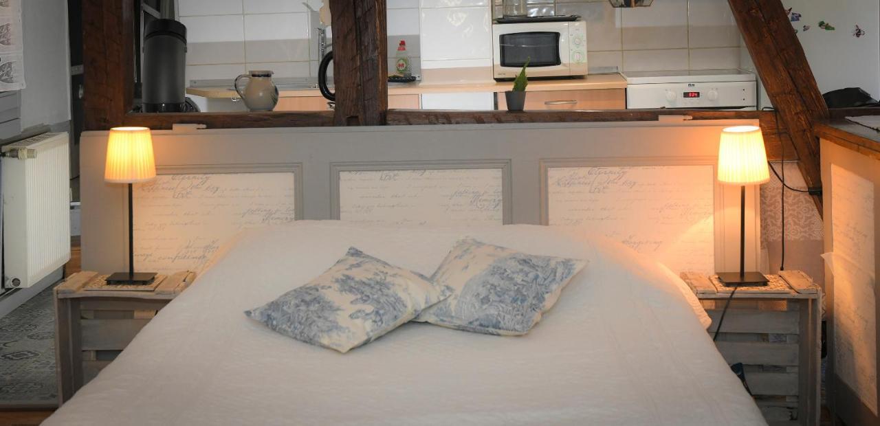 Apartmán Le Duplex Colmar Exteriér fotografie